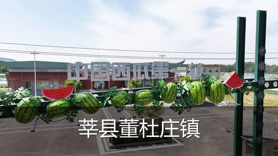 莘县董杜庄镇