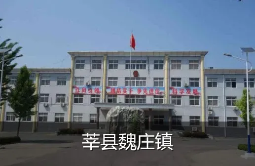 莘县魏庄镇