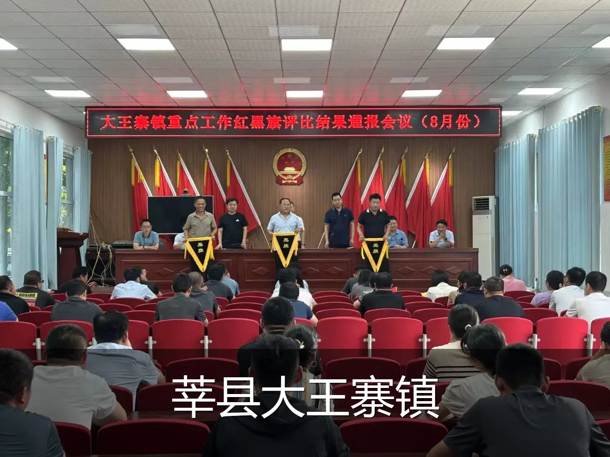 莘县大王寨镇